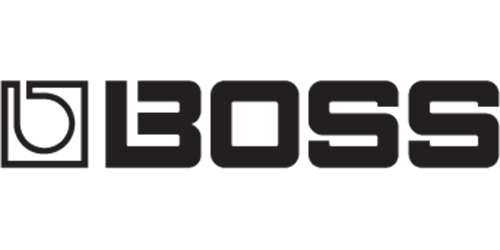 BOSS on Piero's Music Shop, Bayonne, NJ