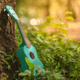 Ukulele guitar at the mountain nature pine forest landscape. Photo depicts musical instrument Ukulele small guitar in outdoor natural green background.